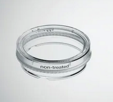 德國艾本德(Eppendorf)Cell Culture Dishes, 35 mm, 無菌、無熱原，無 RNase和DNase，無人類和細菌DNA。無細胞毒素, 未處理, 3.0mL, 300個