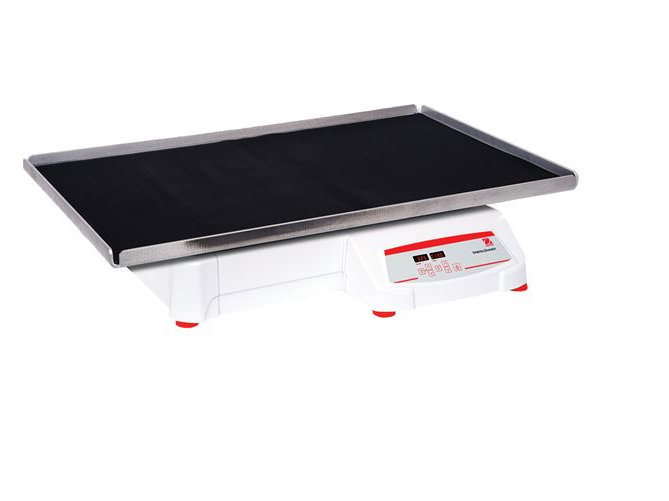 美國(guó)奧豪斯，OHAUS，脫色搖床，回旋振蕩器，圓周振蕩器，大負(fù)載圓周式搖床，SHHD6825DG