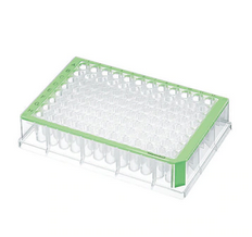德國(guó)艾本德Eppendorf,Deepwell Plate 96/500μL,孔透明,500μL,無菌,綠色,40塊(5包×8塊)