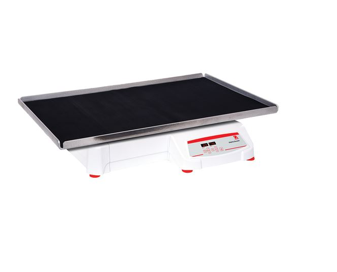 美國(guó)奧豪斯，OHAUS，脫色搖床，回旋振蕩器，圓周振蕩器，大負(fù)載圓周式搖床，SHHD6850DG